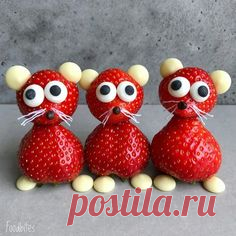 Foodbites on Instagram: “Strawberry Mice Family Portrait🐭 . . . . #foodstyl... - #Family #Foodbites #foodstyl #Instagram #Mice #Portrait #Strawberry