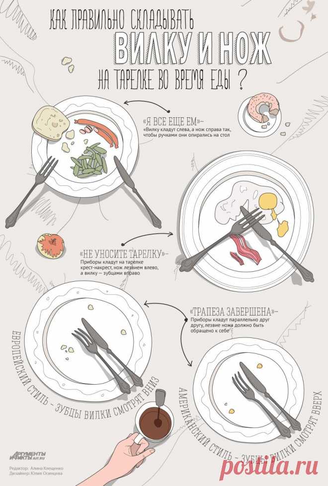 Как складывать вилку и нож на тарелке во время и после еды? Инфографика | Инфографика | Аргументы и Факты
