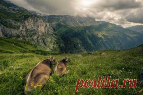 Фотографии природы швейцарского фотографа David Kaplan