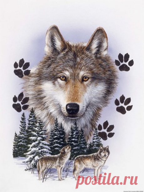 Wolf Montage/ Winter Fine Art Print by William Vanderdasson at FulcrumGallery.com