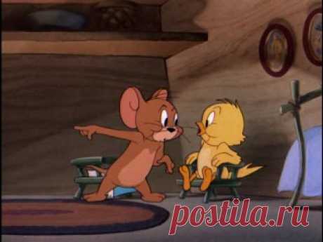 Подборка из более 20 часов любимого мультфильма детства «Том и Джерри»!
Забери на стену и наслаждайся ностальгией