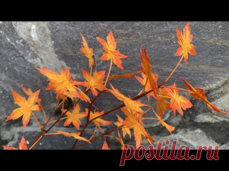 ABC TV | How To Make Autumn Leaf Branch With Crepe Paper - Craft Tutorial