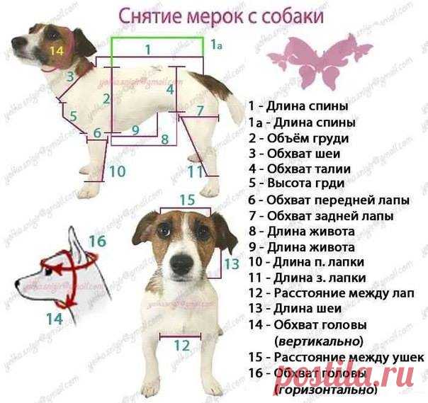 Рукоделие. Вязание. Тут вы найдете схемы для вязания крючком и спицами.