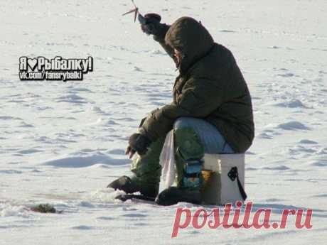 Как подготовиться к зимней рыбалке на льду / Богатая добыча