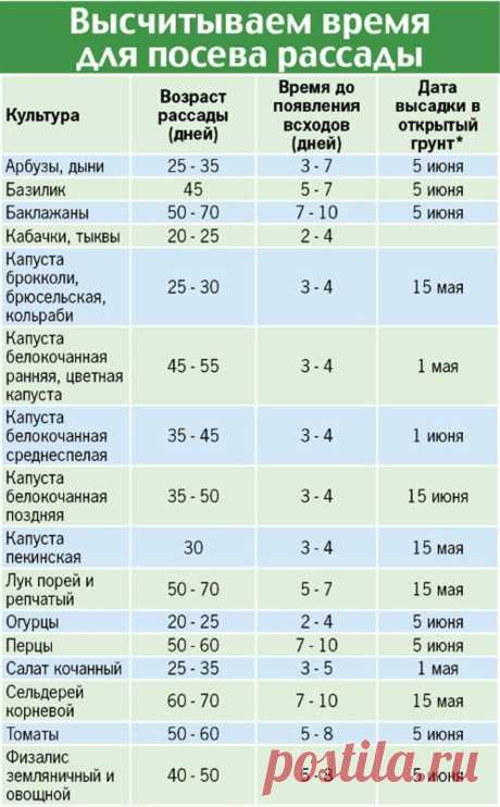 Рассадная считалочка для чайников
 
Как правильно выбрать время для посадки семян
 
В этом году выращивать овощи на своих шести сотках собираются даже те, кто никогда не копался в земле. Что поделаешь - кризис! Конечно, чтобы получить богатый урожай, важно вырастить правильную рассаду.  
Если она будет недозревшая - плоды появятся позже, а если перерастет - ее сложнее сажать, можно поломать хрупкие растения. Поэтому важно грамотно рассчитать время посева семян. В помощь на...