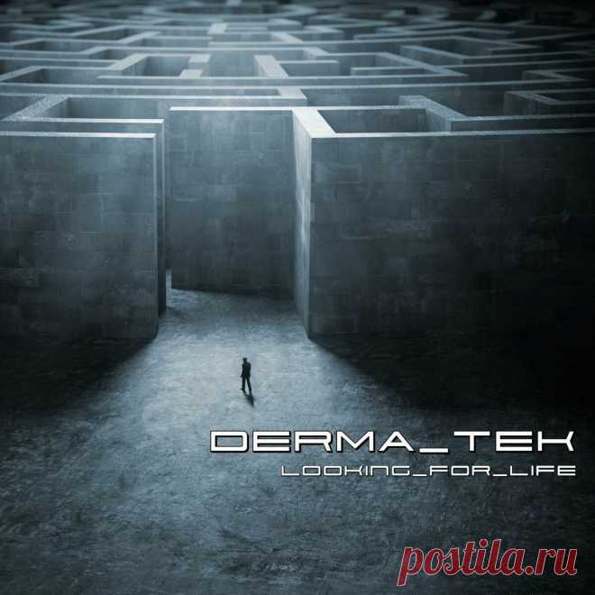 Derma-Tek - LOOKING FOR LIFE (2024) 320kbps / FLAC