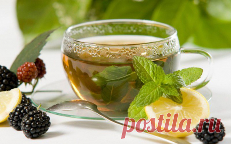 10 полезных свойств зеленого чая • НОВОСТИ В ФОТОГРАФИЯХ