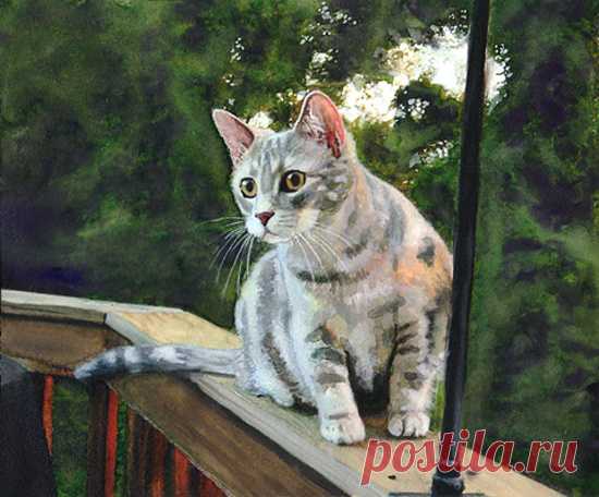 «Милые котики, нарисованные легкой и воздушной акварелью. » — карточка пользователя slavashishaev в Яндекс.Коллекциях