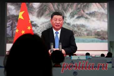 Си Цзиньпин подтвердил условие для поддержки переговоров по Украине