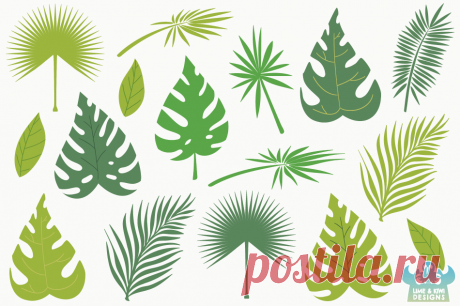 Tropical Leaves Clipart, Instant Download Vector Art By Lime and Kiwi Designs | TheHungryJPEG.com