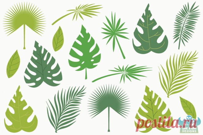 Tropical Leaves Clipart, Instant Download Vector Art By Lime and Kiwi Designs | TheHungryJPEG.com