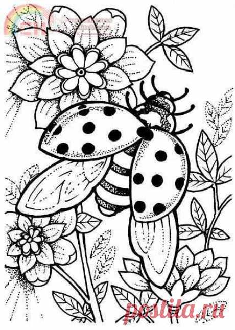 HAECCKQS 331 QS Ladybug