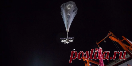 Цыплёнок Цыпа запустил воздушный шар от Google в небо над Пуэрто-Рико