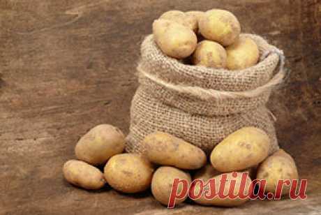 Технология выращивания картофеля| Полезные статьи на блоге Беккер.