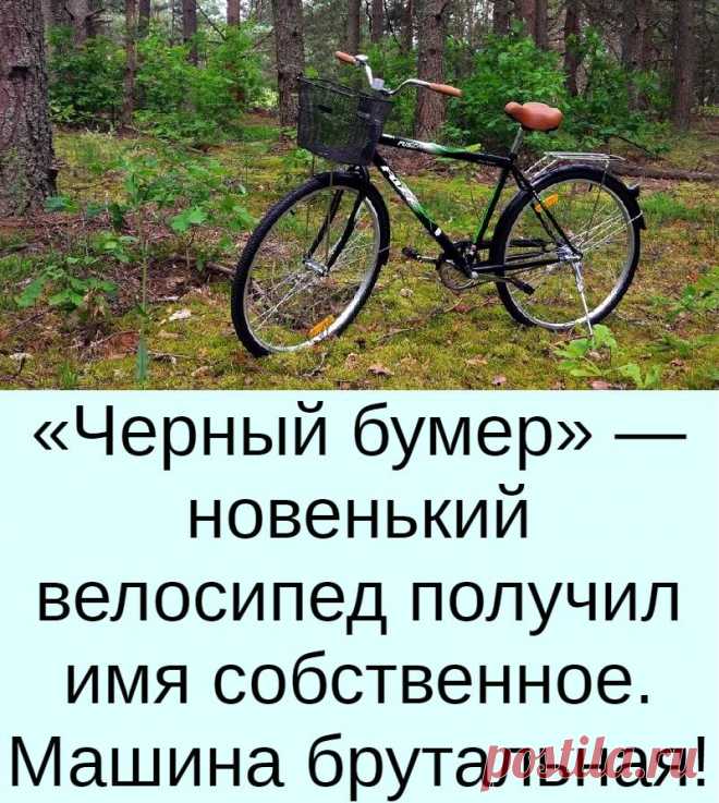 Велосипед получить в подарок