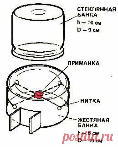 (+1) тема - Самодельная мышеловка | Полезные советы