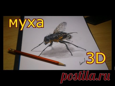 Как нарисовать 3Д рисунок мухи(ускоренное видео)How to draw a 3D drawing flies