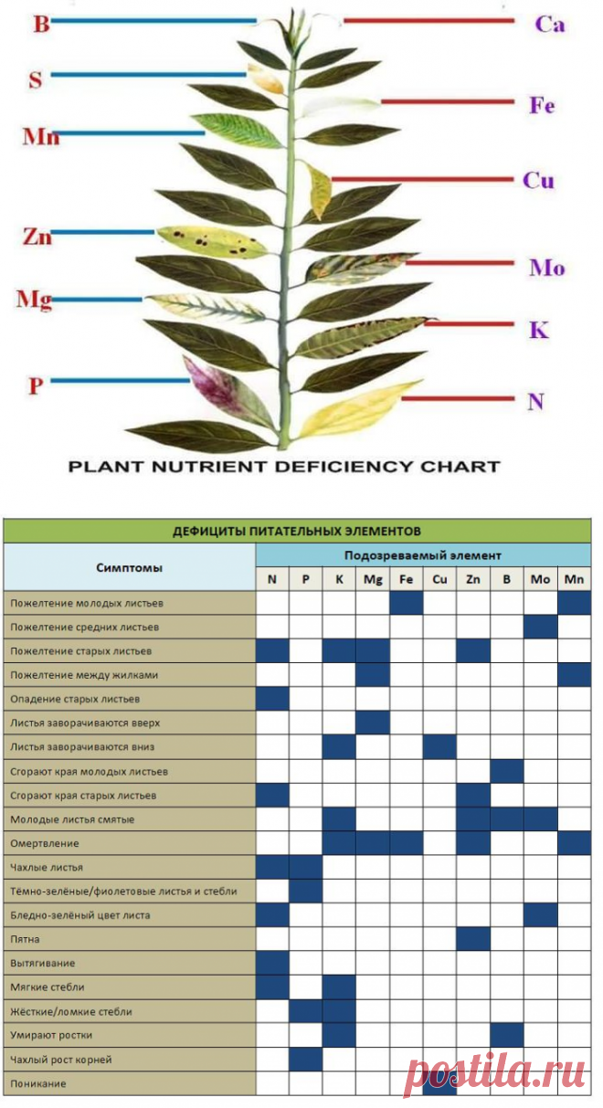Таблица нехватки микроэлементов у растений. Таблица нехватки микроэлементов у растений аквариумные. Недостаток элементов питания у растений таблица. Избыток и недостаток микроэлементов у растений.