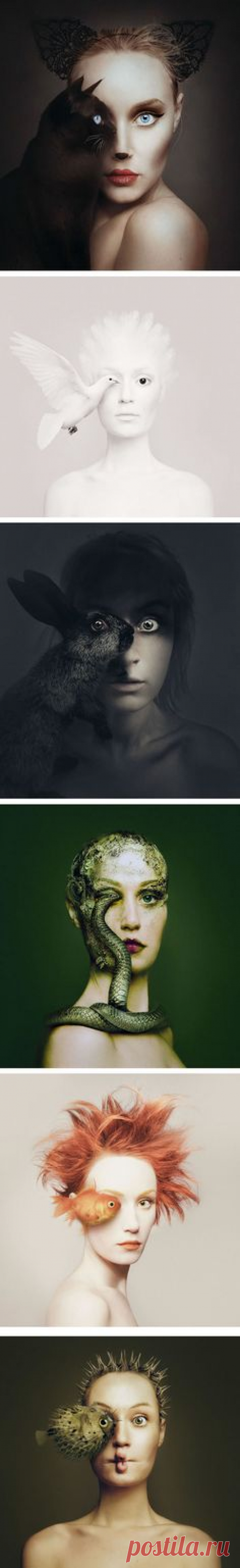 Artist Becomes One With Animals By Replacing Her Eye With…