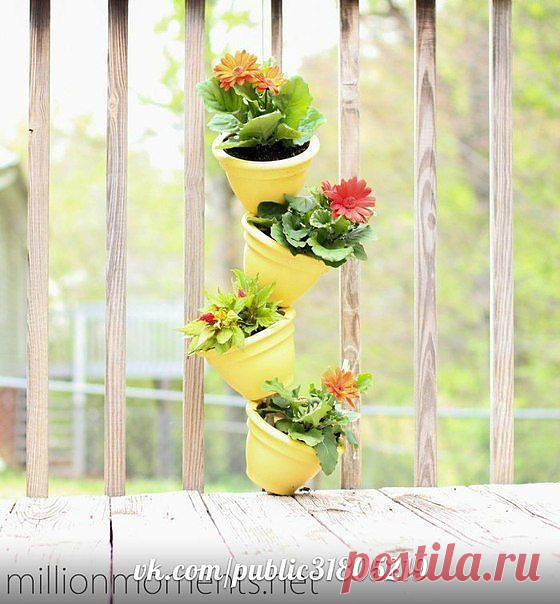 Вертикальный сад на балконе / Цветы / ВТОРАЯ УЛИЦА