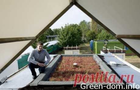 Крыша | Зелёный дом