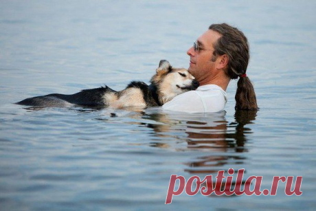 Американец ежедневно носит больного пса к озеру, чтобы тот выспался / Вкусные привычки