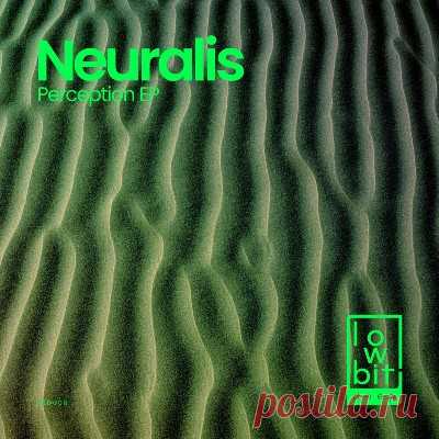 Neuralis – Perception