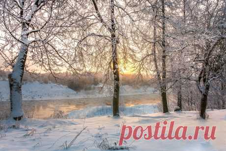 Красивый зимний рассвет у деревьев Старицкого края .

Фото : Тверская область , Старицкий район .