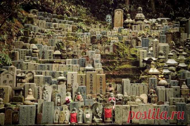 Мистическая прогулка по самому большому кладбищу Японии | Все о туризме и отдыхе