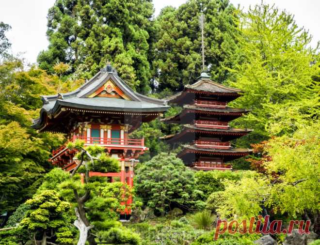 Japanese Tea Garden, Golden Gate Park, San Francisco, California, CA, USA - License, download or print for £24.80 | Photos | Picfair