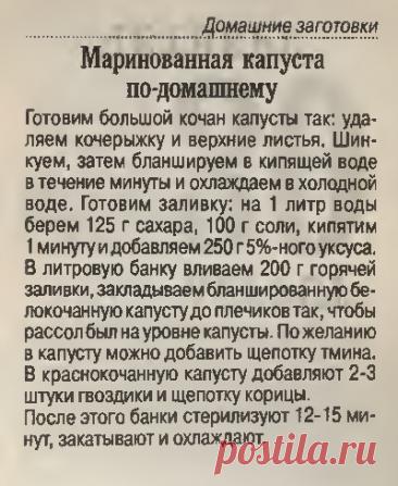 Маринованная капуста по-домашнему