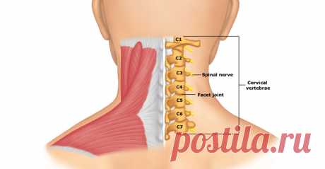 Гимнастика Бутримова: нормализует кровообращение и восстановит правильное положение позвонков шеи