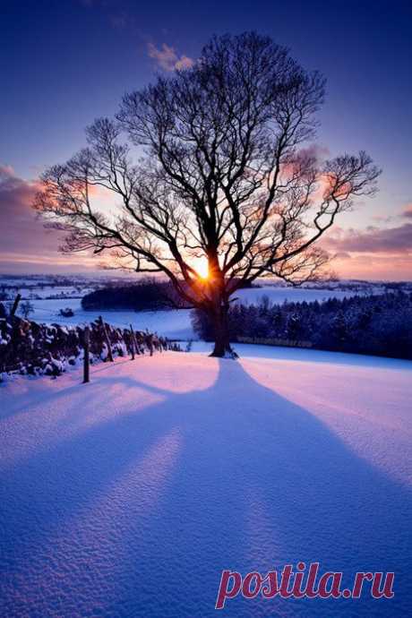 Sunset, Eshton, Great Britain | Winter
