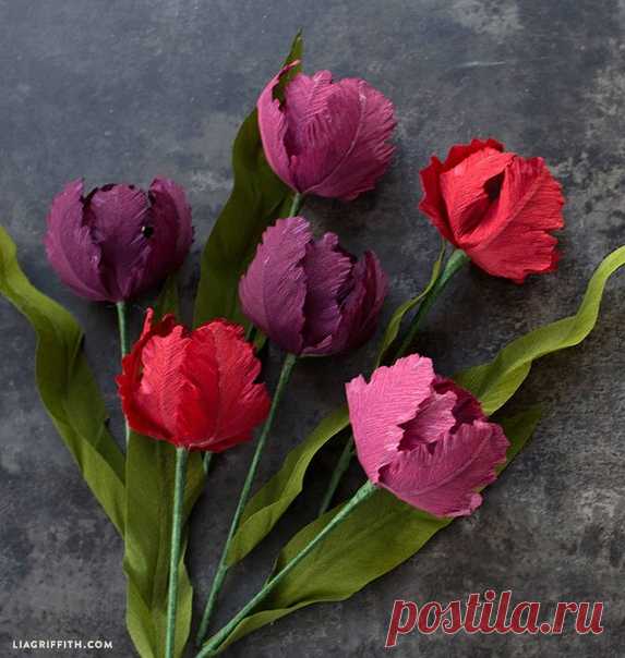 Махровые тюльпаны от Lia Griffith из бумаги