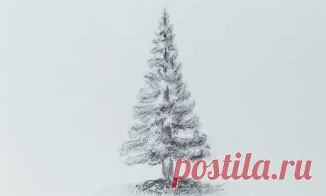 Простой и легкий способ нарисовать елку простым карандашом. Рисунки с которыми справятся все | РИСУЮ ДОМА | Яндекс Дзен