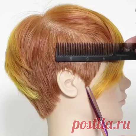 [Video] I use the comb to press the hair down for extra control, then carefully shallow point cut to create a round perimeter. Try this technique after you layer your pixie cuts to create a beautiful edge. ❤ #hairvideos #hairtutorials #haireducation  #hairvideo #haircut #haircuts #hairtips #haircutvideo #haircutting  #hairvid #hairtrends #hairhowto #haircuttutorial  #haireducator #haircutstyle  #howtodohair #hairtutorial #layeredhaircut #drycut #shorthair #shorthaircuts #b...