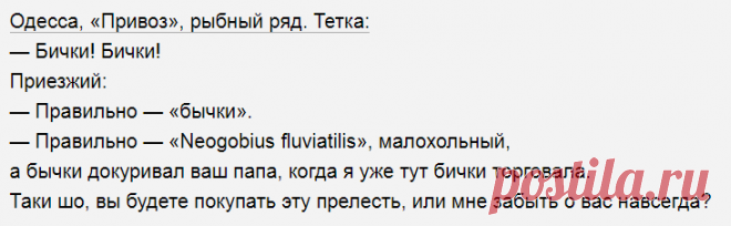 Выпуск №6704 - выпуск анекдотов сайта вокруг смеха