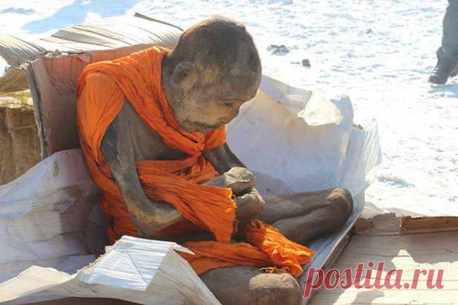 Найдена 200-летняя мумия тибетского монаха, который со слов ученых 
