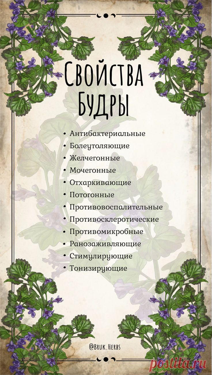 Свойства будры