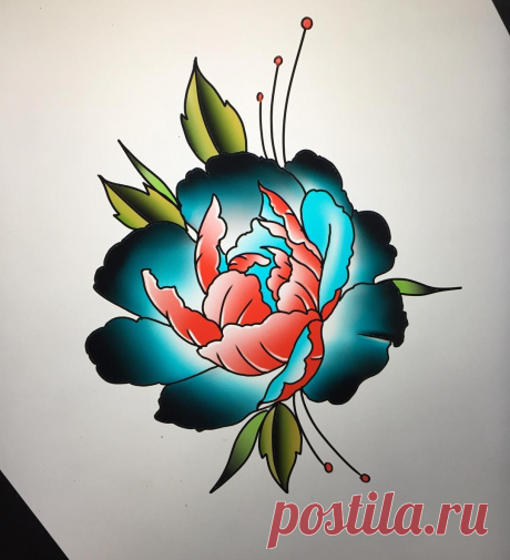 Peter Ott в Instagram: «Drew up this peony design today! Would be open to doing this in color or black and grey! Get in touch with me I have some upcoming…» 55 отметок «Нравится», 1 комментариев — Peter Ott (@pete_tattoos) в Instagram: «Drew up this peony design today! Would be open to doing this in color or black and grey! Get in…»