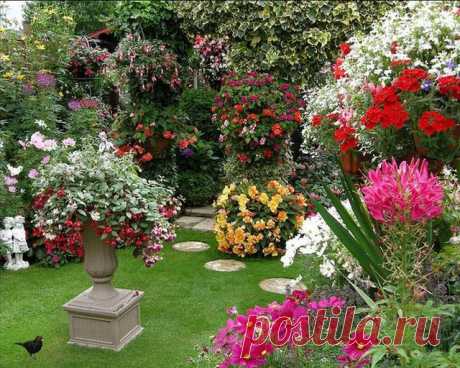 Создайте красивый душистый сад, который привлечет полезных птиц и насекомых | Дачный участок
