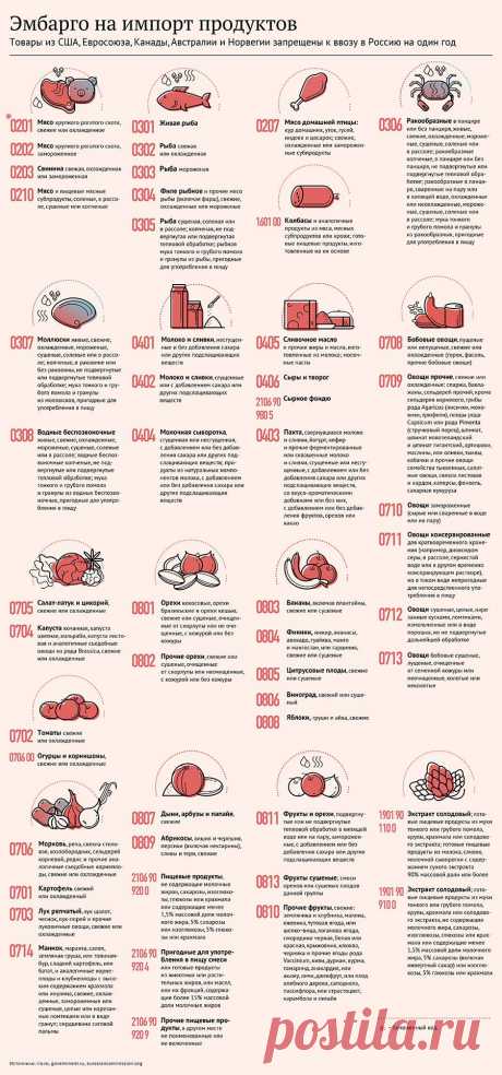 Кадыров одобрил запрет на импорт продуктов из Европы и США - Новости Политики - Новости Mail.Ru
