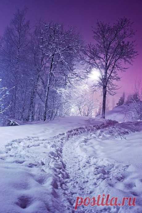 Snow is Not White in the Night от пользователя Arkku на Flickr / snow at night. | winter