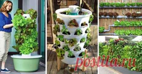 20 Vertical Vegetable Garden Ideas » iSeeiDoiMake