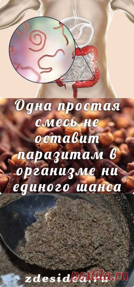 Одна простая смесь не оставит паразитам в организме ни единого шанса - zdesidea.ru