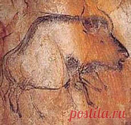 Chauvet Caves, France. 30,000 B.C.E.//Running Bison. The artist has shown movement by drawing extra legs.