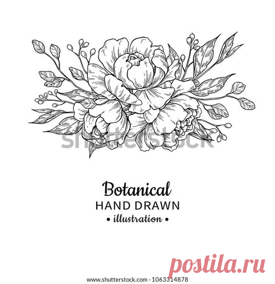 Vintage Flower Bouquet Vector Drawing Peony: стоковая векторная графика (без лицензионных платежей), 1063314878 | Shutterstock