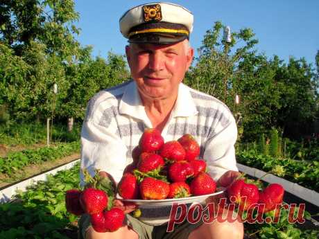 Такие результаты вам и не снились!)))) Золотая мечта каждого садовода!.