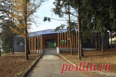 Small Administration House and Big Pine Trees Архитекторы: Entasis