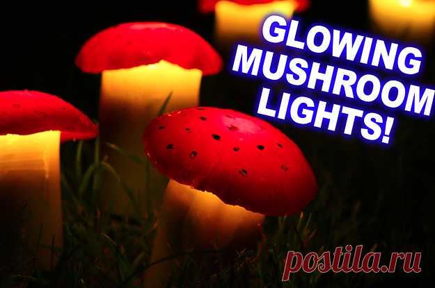 These Solar-Powered Mushroom Lawn Lights Are An Adorable Addition To Your Backyard Don't worry, they won't take up mush-room.